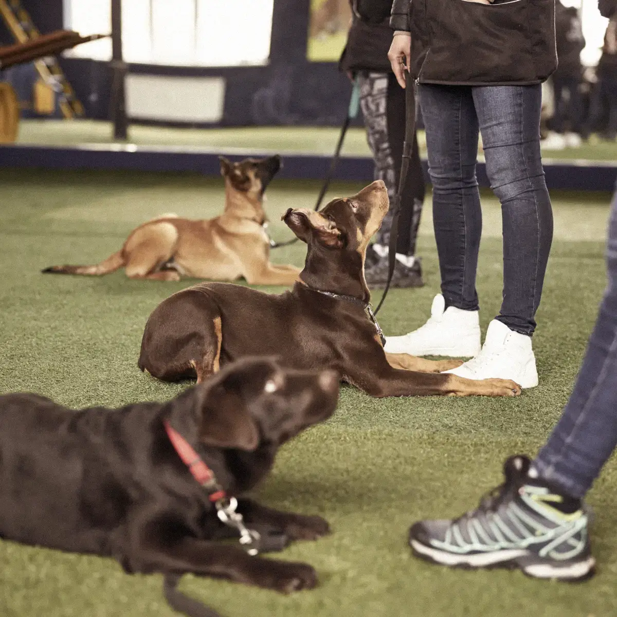 Ateliers & privatisations Paix Paire