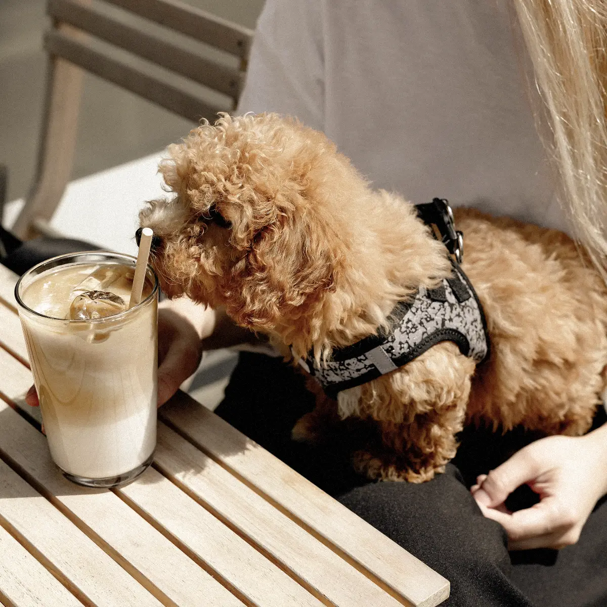 Coin détente & café Paix Paire