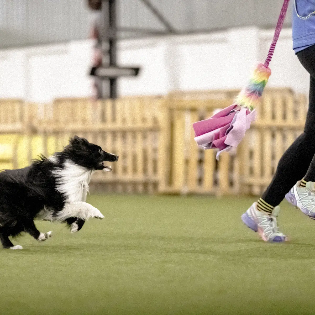 Jeux & socialisation Paix Paire